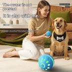 Interactive Smart Dog Ball Toy Electronic USB Powered Moving Bouncing Color Ball for Cats And Dogs Large Medium Size Pet Jumping