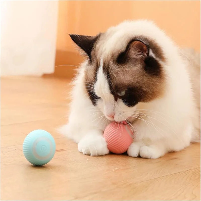 USB Rechargeable Interactive Cat Toys Balls Pets Smart Automatic Electric Rolling Ball for Kitty Tail Teasers with Catnip Gifts