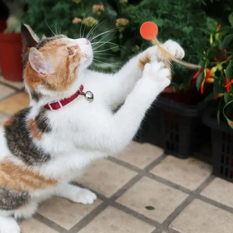 Funny Cat Elastic Ball Toy Interactive Balls Pet Supplies Feather Football Toys Dog Playthings Kitten