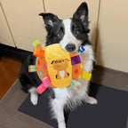 Plush Dog Vocal Toy Ball Funny Interactive Pet Toys with Bells Cleaning Tooth Chew Toy For Small Large Dogs Cats Puppy Products