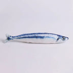 New Design Plush Fish Cat Toy Durable Bite-Resistant Interactive Toy Catnip Stuffed Pet Plaything