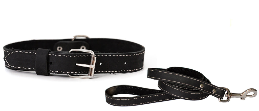 Pro Line Hunting Leather Collar and Leash Set