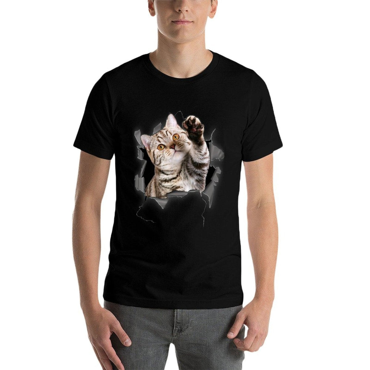 Cute Torn Cloth Funny for Cat Lover  Cat Mom  Affordable Price T-Shirt