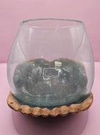 Carved Wooden Hand and Molten Glass Terrarium