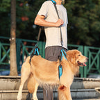 Pet Supplies Dog Auxiliary Strap