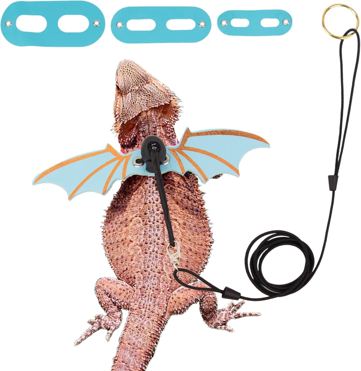 Bearded Dragon harness