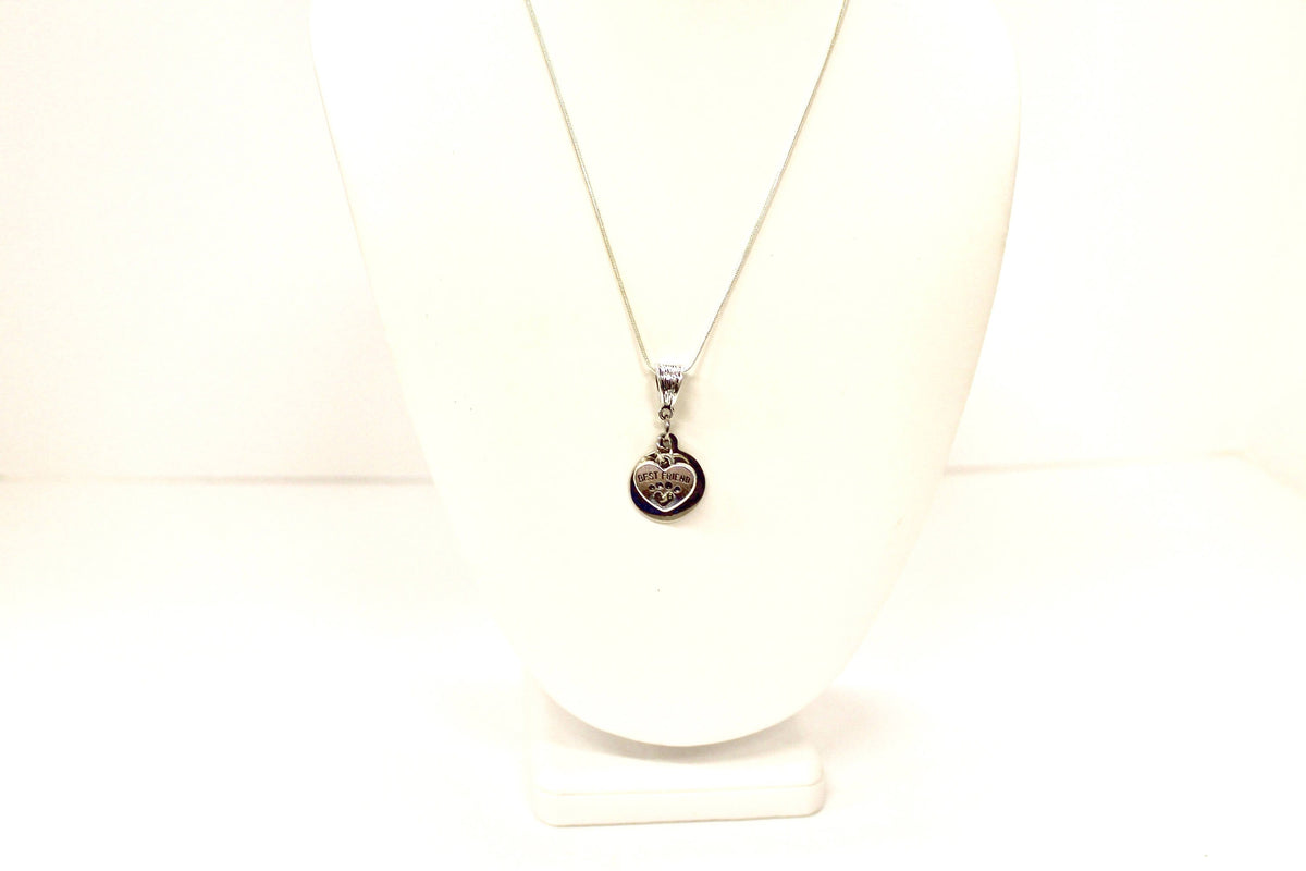 No Longer By My Side But Forever In My Heart Silver Necklace, Loved Pet Memorial Jewelry Gift For Her, Sympathy Pet Remembrance