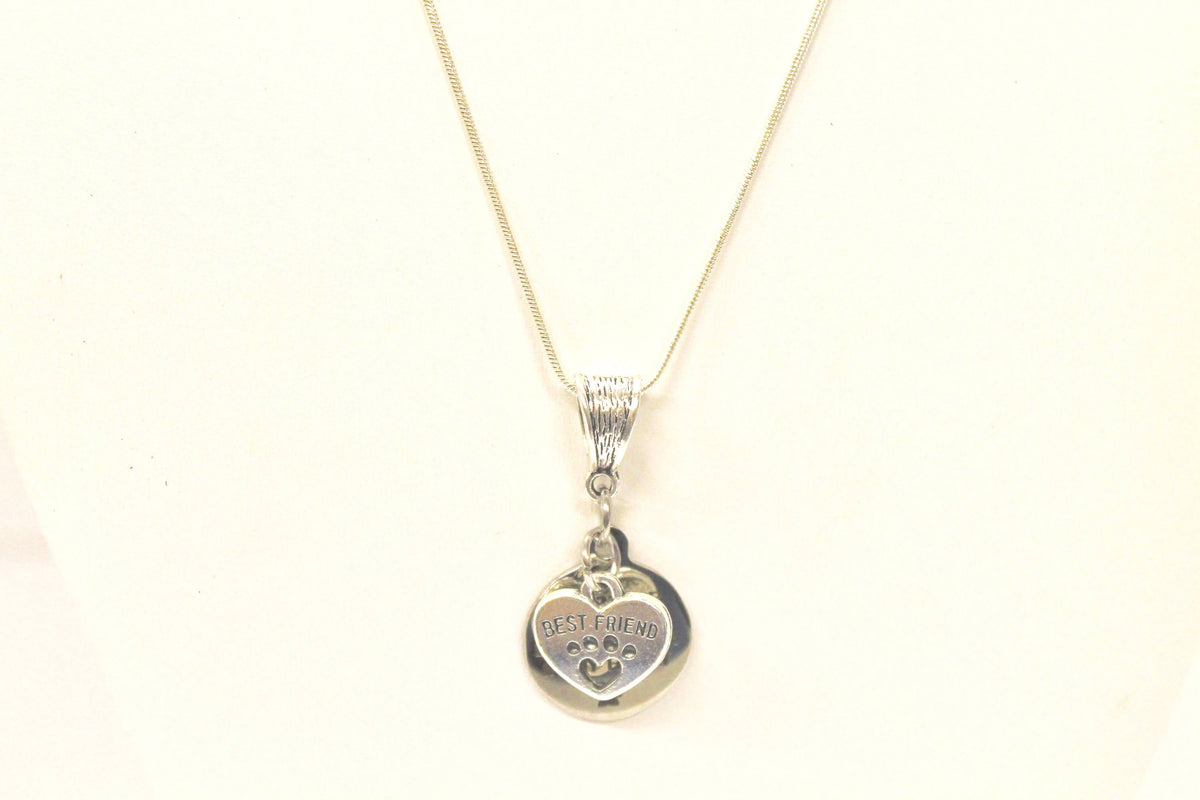 No Longer By My Side But Forever In My Heart Silver Necklace, Loved Pet Memorial Jewelry Gift For Her, Sympathy Pet Remembrance