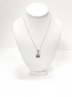 You Left Paw Prints on My Heart Pet Memorial Necklace, Dog Remembrance Jewelry, Pet Remembrance, Dog Memorial Jewelry, Dog Sympathy Gift