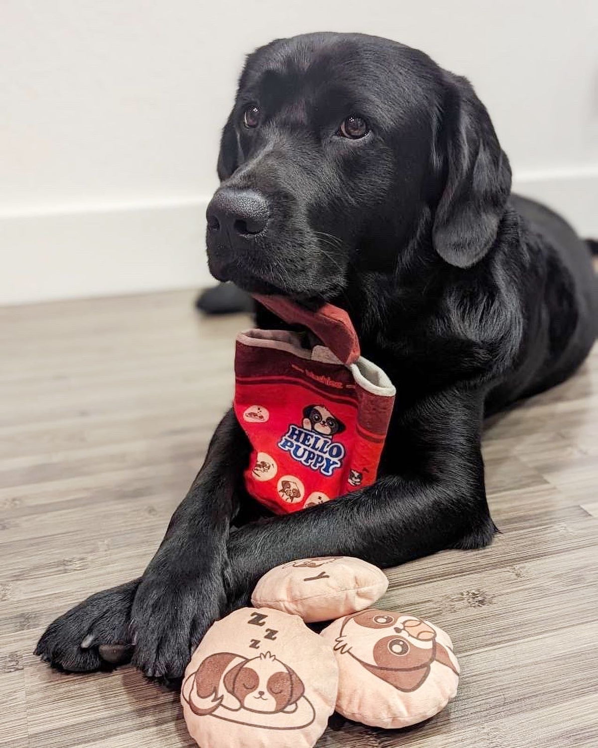Hello Puppy 4 Piece Dog Toy