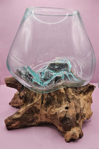 Small/Medium Teak Root Driftwood and Molten Glass Terrarium- Single Globe