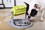 Pet Life ® 'Roto Paw' IQ Training Interactive Rotating Slow Dog Feeder