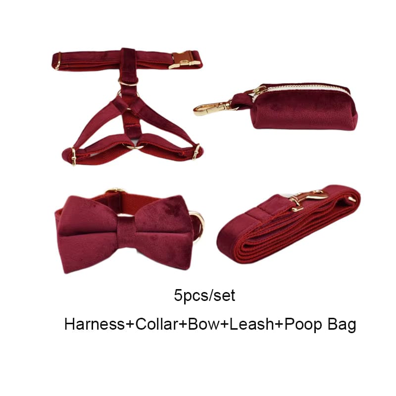 Red Wine Velvet Set
